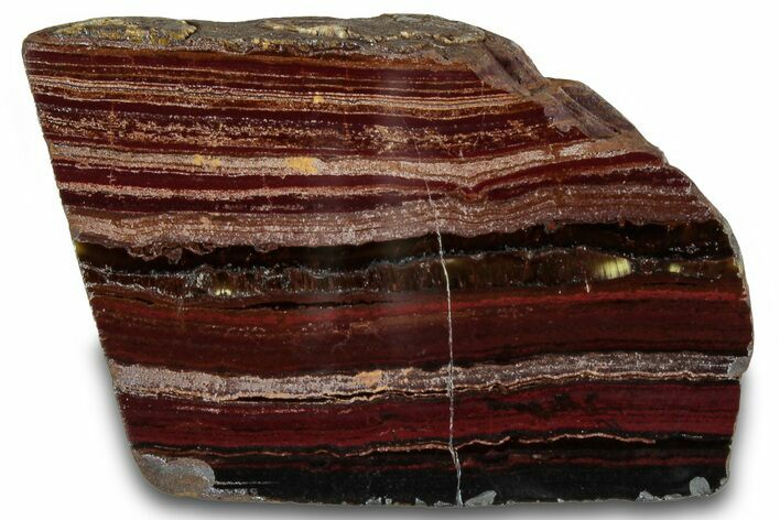 Polished Tiger Iron Stromatolite Section - Billion Years #319463